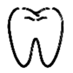 图层 11